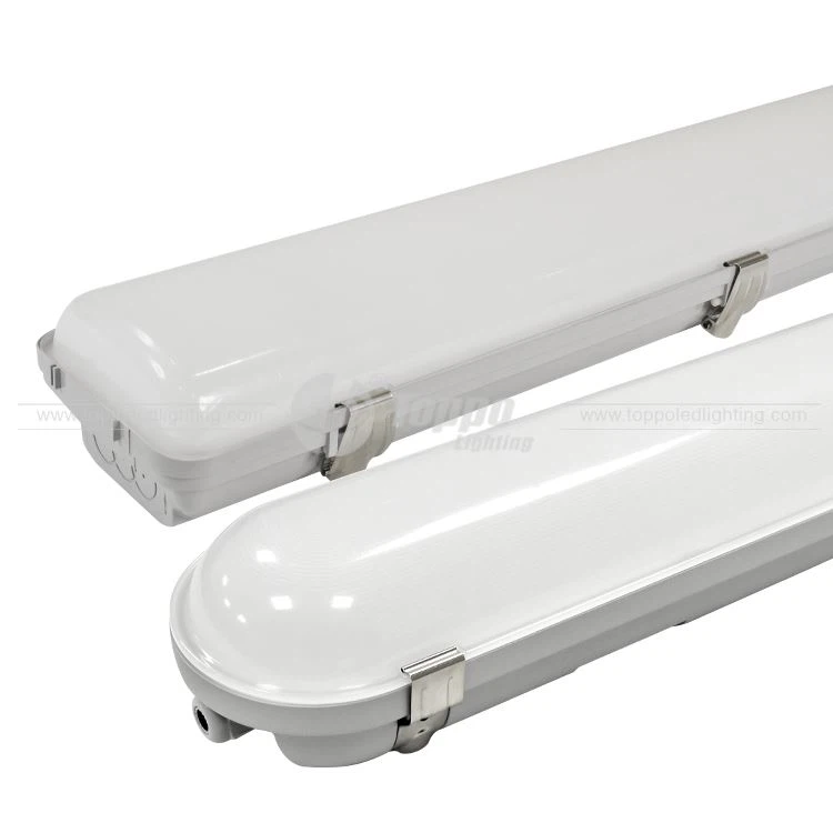 Difference Between New&Old A Tri-proof Light Apperance Difference Between New&Old A Tri-proof Light Apperance